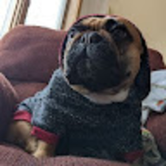 Profile Picture of Aven Thomas (@aventhomas2008) on Poshmark