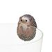 Profile Picture of Danny TSAI (@tsai1278) on Pinterest