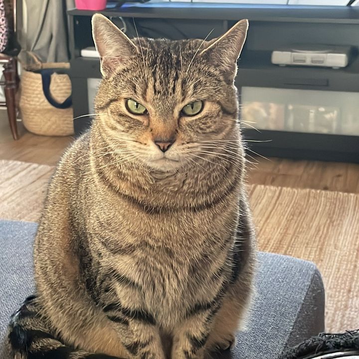 Profile Picture of Joanne Robinson (@jr110543) on Tiktok