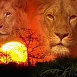 Profile Picture of Andre Domingos (@andre.domingos.121) on Facebook