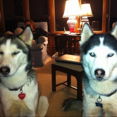 Profile Picture of Kelli Oglesby (@OgleKel) on Twitter
