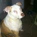 Profile Picture of Ray Chaffin (@ray.chaffin.71) on Facebook
