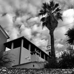 Profile Picture of Bianca Carbone (@bashyboo64) on Instagram