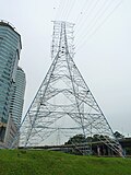 Profile Picture of Kerinchi Pylonon Wikipedia
