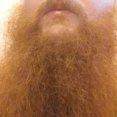 Profile Picture of Adam_Stoker (@AdamStoker5) on Twitter