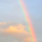 Profile Picture of Carly Emery (@tacosaretheship) on Youtube