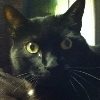 Profile Picture of Charlotte Albert (@Charlo21awesome) on Twitter