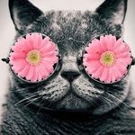 Profile Picture of Anne Marie Dickson-Broad (@annemarie.dickson) on Instagram