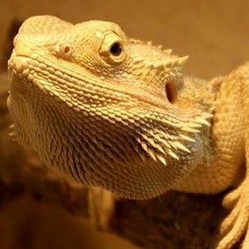 Andreas Engel - Twitter Profile Picture of Andreas Engel (@andreasengel46) on Twitter