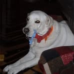 Profile Picture of Jaelan Hamman (@jaelan.hamman) on Facebook