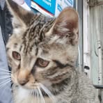 Fokuyama Jayme - Facebook Profile Picture of Fokuyama Jayme (@nolan.lapumma) on Facebook