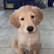 Profile Picture of Max Pagan (@maxpagan358) on Youtube