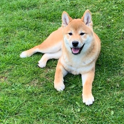 Profile Picture of Francisca Sánchez (@fran_snchz) on Twitter