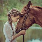 Profile Picture of roya shayesteh (@roya.shayesteh29152) on Instagram