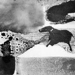 Profile Picture of Till-Holger Borchert (@veroniqueterrieux) on Instagram