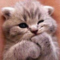 Profile Picture of Cassidy Bryant (@cassidy-bryant-11) on Quora