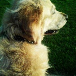 Profile Picture of Jade Ash (@__thebeachiswhereitsat) on Myspace