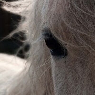 Profile Picture of Tera Martin (@teramartin76) on Twitter