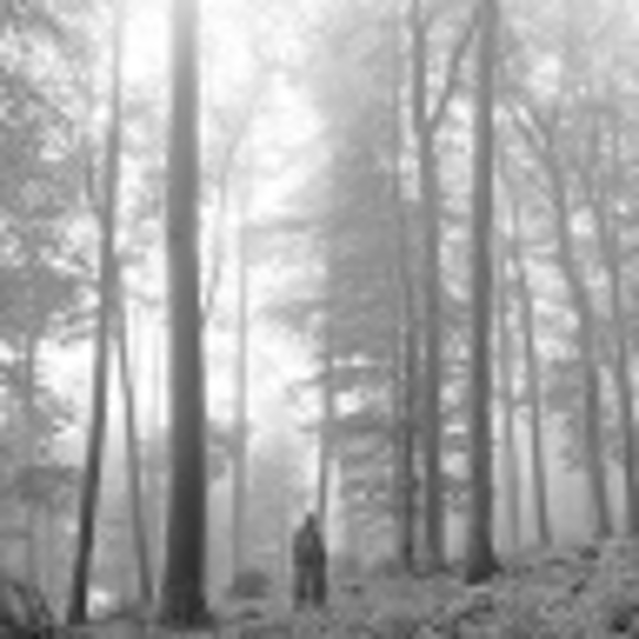 Profile Picture of Addison Dale (@addisonydale86) on Poshmark