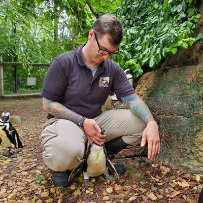 Profile Picture of Cody Stillwell (@kidcody1993) on Twitter