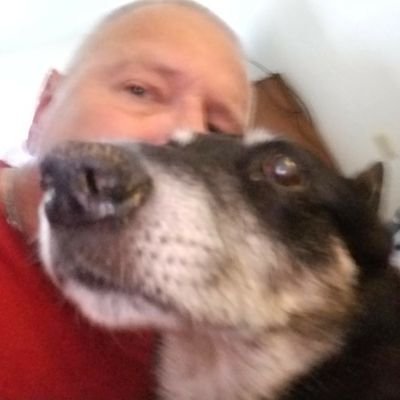 Profile Picture of Andrew Lasek (@A56Lasek) on Twitter