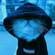 Profile Picture of Mohammadmahdi.yadegar (@mohammadmahdi.yadegar3424) on Youtube