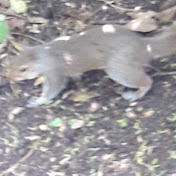 Profile Picture of Mandy Day Kovacs (@mandydaykovacs1218) on Youtube