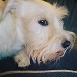 Profile Picture of Rosco Eugene McAlister (@roscoeugene) on Instagram