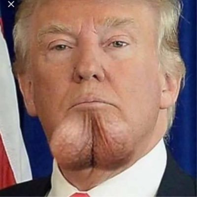 Profile Picture of Peter Ploegman (@ploegmanpeter1) on Twitter