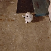 Profile Picture of Gary Fontenot (@GaryFontenot-s7z) on Youtube