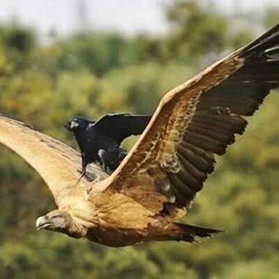 Profile Picture of Raymundo Cuellar (@ray_mmm) on Twitter