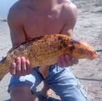 Profile Picture of Edward Bayer (@Edward-Bayer) on Facebook