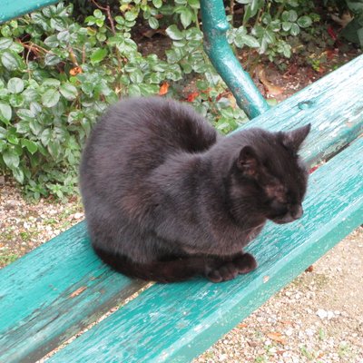 Profile Picture of Judy Marchman (@judy_writes) on Twitter