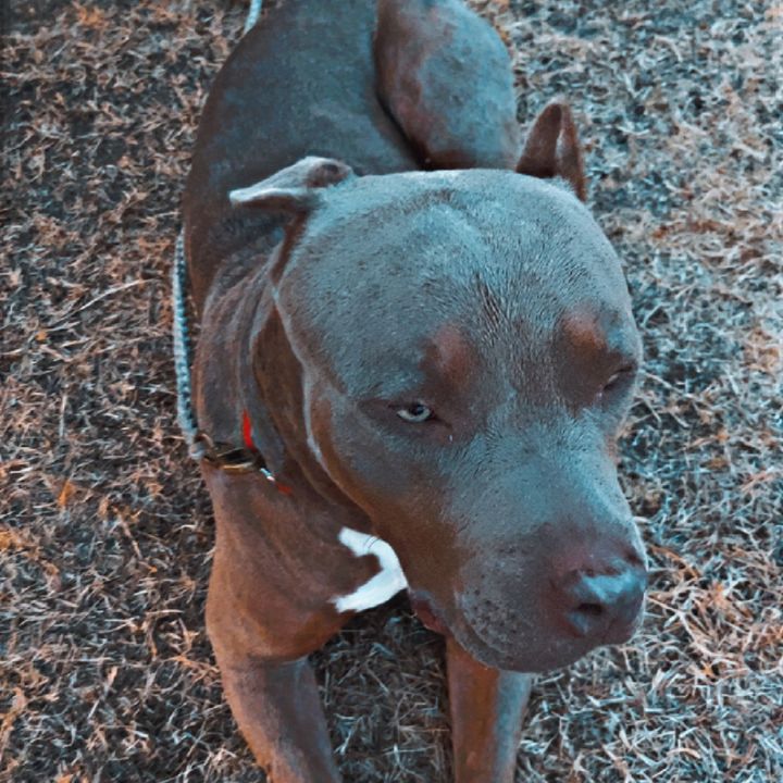 Profile Picture of Ketch.Thomas4 (@ketch.thomas4) on Tiktok