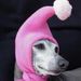 Profile Picture of Peter Marciano (@petermarciano) on Pinterest
