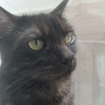 Profile Picture of Jim Mashek (@jmashek) on Twitter