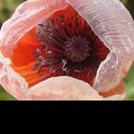 julian_gregoryjh - Instagram Profile Picture of julian_gregoryjh (@julian_gregoryjh) on Instagram