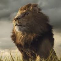 Profile Picture of Mark A Gaudioso (@markagaudioso) on Pinterest