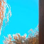 Profile Picture of Luz Sanchez (@luz.sanchezz_) on Instagram