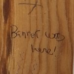 Profile Picture of Mike Banner (@bannermike) on Instagram