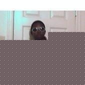 Profile Picture of Geoffrey Hamilton (@295108117) on Myspace