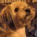 Profile Picture of Bizzy Crafter (@hairdini101) on Pinterest