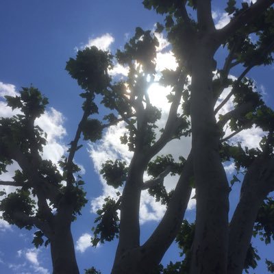 Profile Picture of Karin Heetmann-Schultz (@HeetmannKarin) on Twitter