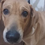 Profile Picture of Mario Caldas (@mario.caldas.456032) on Facebook