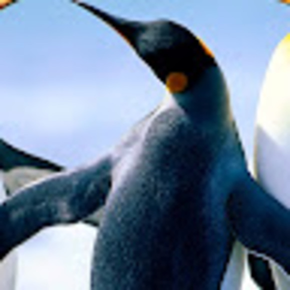 Profile Picture of Crystal Lackey (@cllack77) on Poshmark