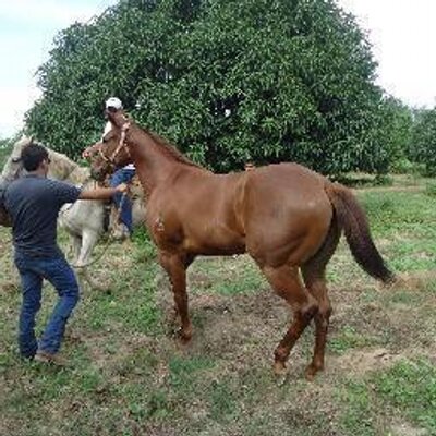 Profile Picture of Felix Mondragón (@fill104) on Twitter