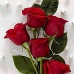 Profile Picture of Tobar Mirna (@tobar_mirna) on Instagram