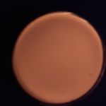 Profile Picture of Ben Arroyo (@themanwhofoughtthesun) on Instagram