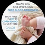 Profile Picture of Sharon Muccianti (@illinoiscordblood) on Instagram