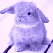 Profile Picture of Carly Tate (@carlytate445) on Youtube